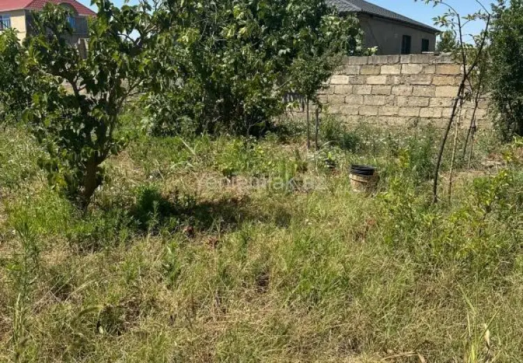 2.6 sot Torpaq Satılır, Qurd dərəsi, Sumqayıt