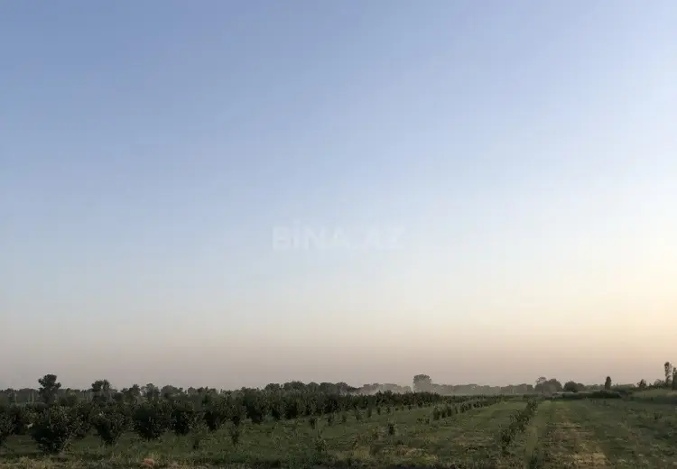57 sot Torpaq Satılır, Xaçmaz