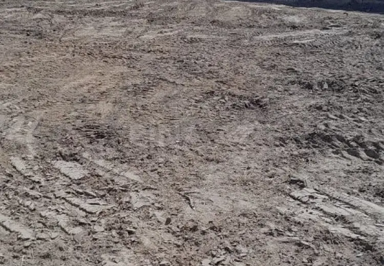 12 sot Torpaq Satılır, Nardaran qəs., Sabunçu, Bakı