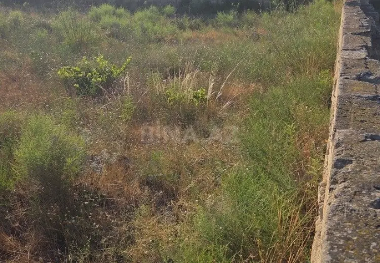 13 sot Torpaq Satılır, Nardaran qəs., Sabunçu, Bakı