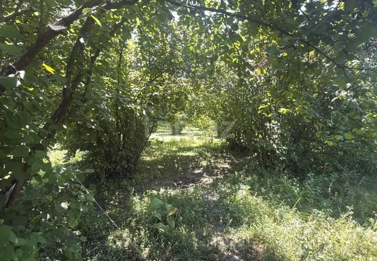 0 m² Obyekt / Ofis , Bakı