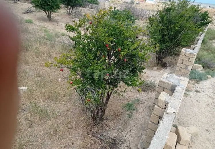 0 m² Obyekt / Ofis , Sumqayıt