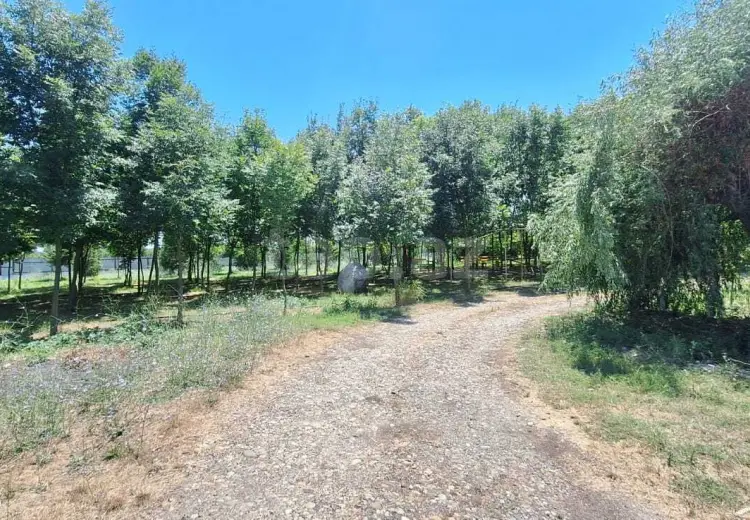 0 m² Obyekt / Ofis , Xudat