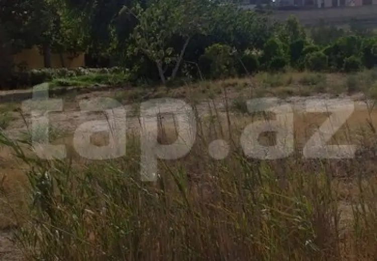 0 m² Obyekt / Ofis , Masazır, Abşeron