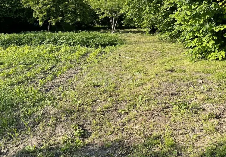 0 m² Obyekt / Ofis , İsmayıllı