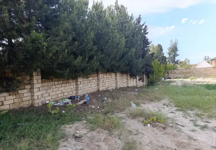 6 sot Torpaq Satılır, Novxanı, Abşeron