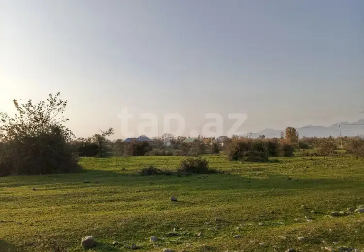 0 m² Obyekt / Ofis , Oğuz