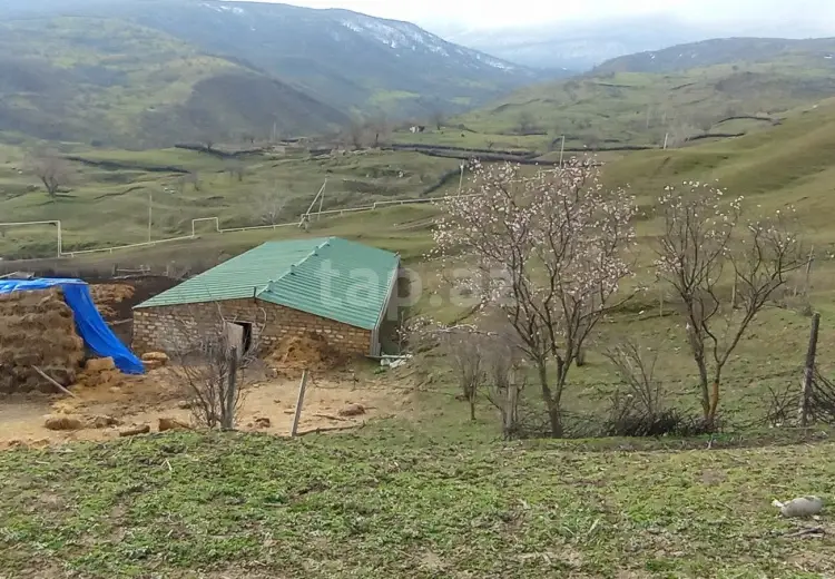 6 otaqlı mənzil , Şabran