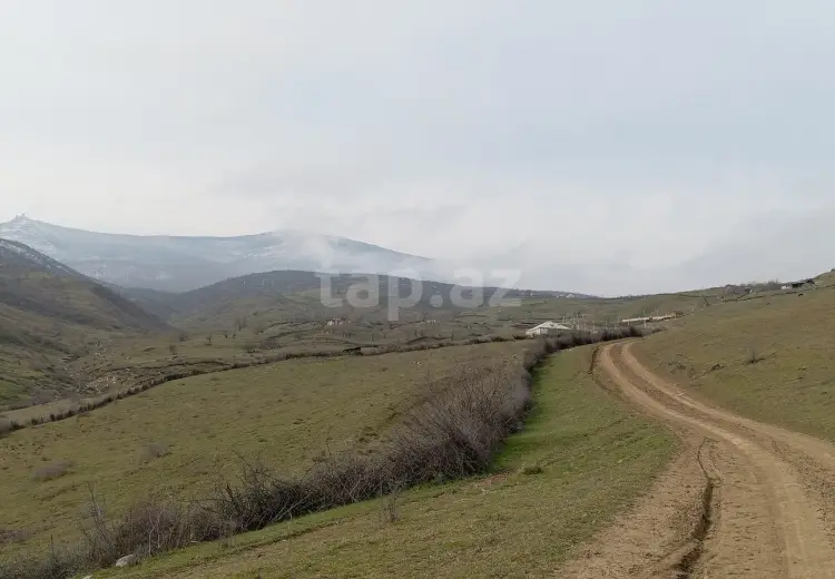 6 otaqlı mənzil , Şabran