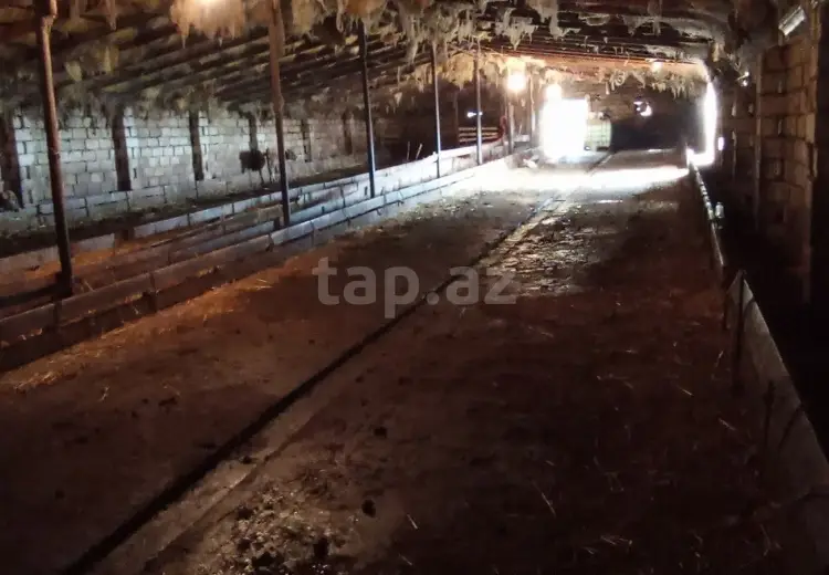 6 otaqlı mənzil , Şabran