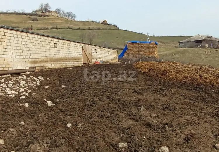 6 otaqlı mənzil , Şabran