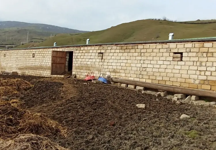 6 otaqlı mənzil , Şabran