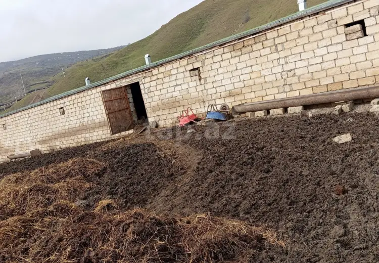 6 otaqlı mənzil , Şabran
