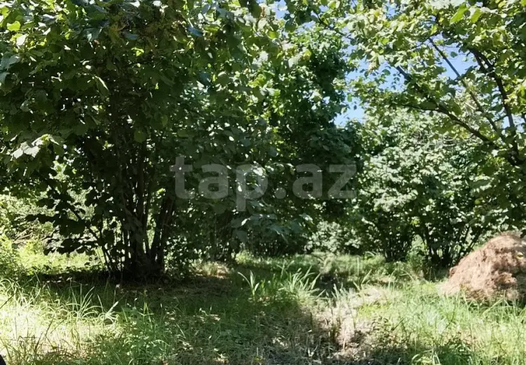 0 m² Obyekt / Ofis , Xaçmaz