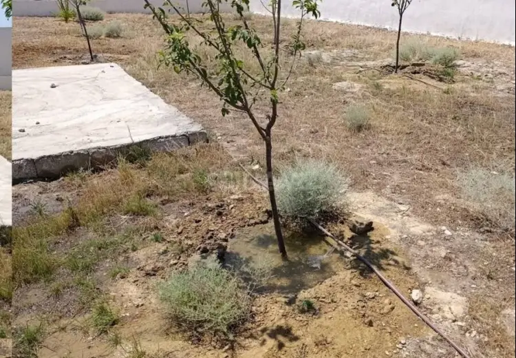 10 sot Torpaq Satılır, Türkan, Xəzər, Bakı