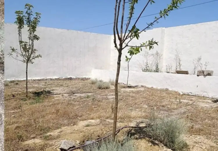 10 sot Torpaq Satılır, Türkan, Xəzər, Bakı