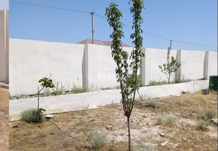 10 sot Torpaq Satılır, Türkan, Xəzər, Bakı
