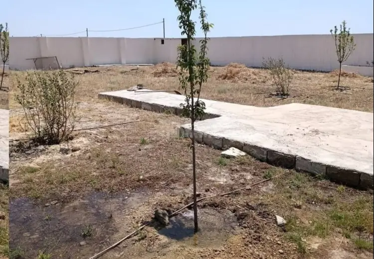 10 sot Torpaq Satılır, Türkan, Xəzər, Bakı