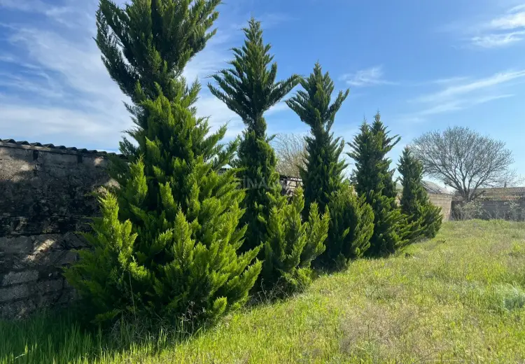 25 sot Torpaq Satılır, Nardaran qəs., Sabunçu, Bakı