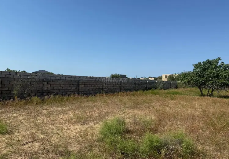 7 sot Torpaq Satılır, Nardaran qəs., Sabunçu, Bakı