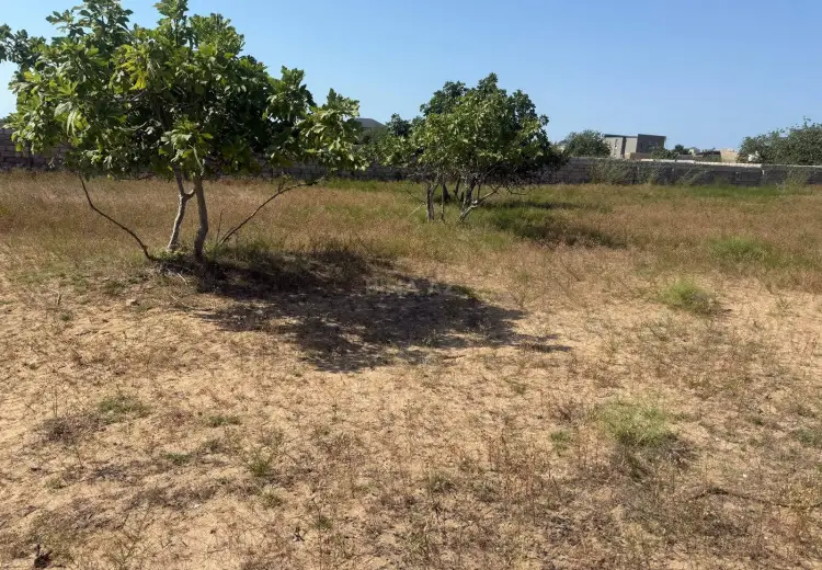 7 sot Torpaq Satılır, Nardaran qəs., Sabunçu, Bakı