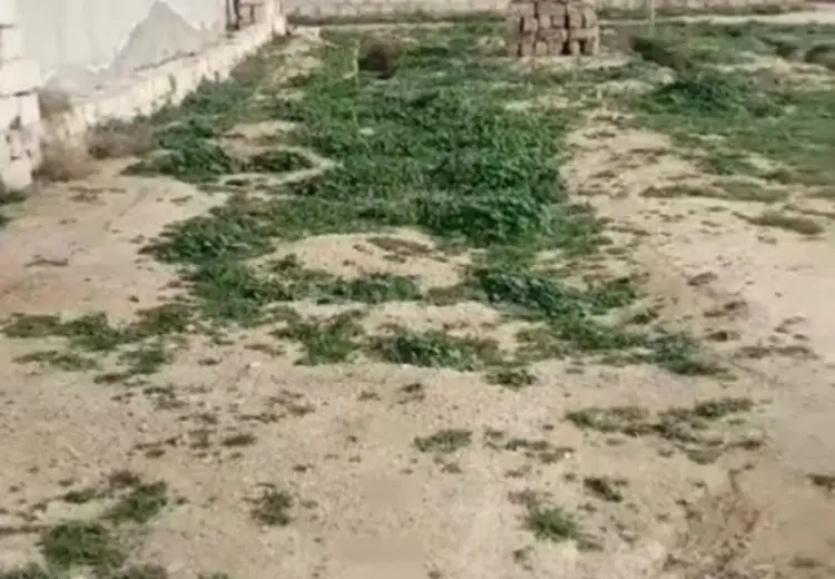 3 sot Torpaq Satılır, Binəqədi qəs., Binəqədi, Bakı