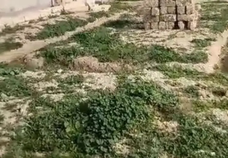 3 sot Torpaq Satılır, Binəqədi qəs., Binəqədi, Bakı