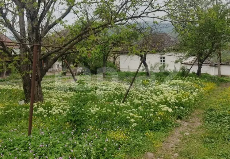 0 m² Obyekt / Ofis , Quba