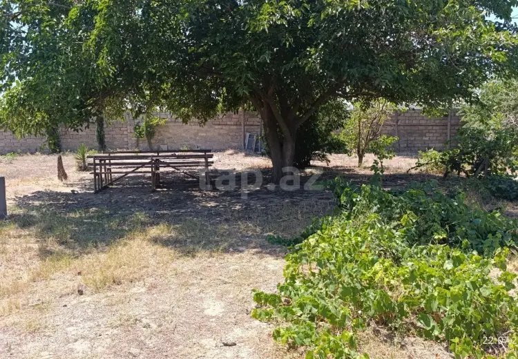 0 m² Obyekt / Ofis , Buzovna, Xəzər, Bakı