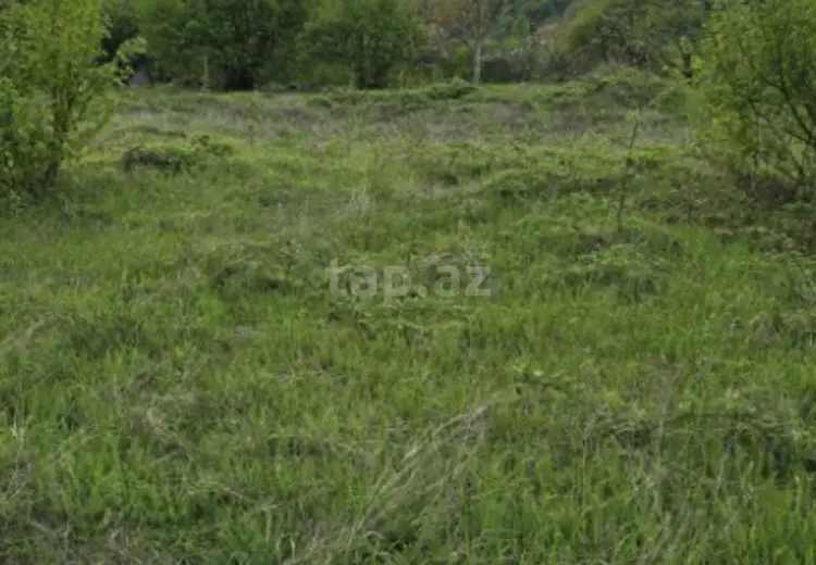 0 m² Obyekt / Ofis , Bakı