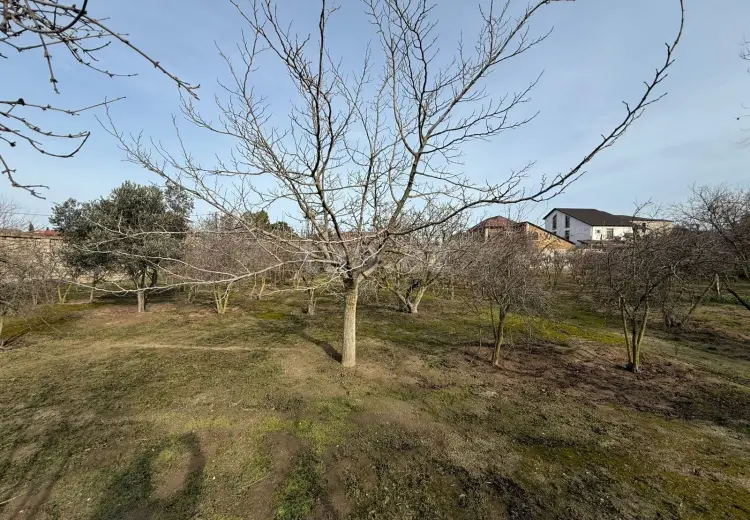 0 m² Obyekt / Ofis , Mərdəkan, Xəzər, Bakı