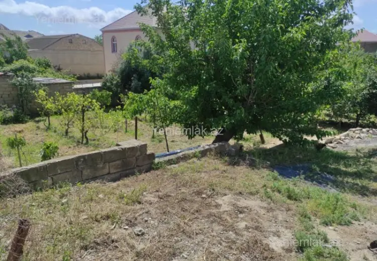 10 sot Torpaq Satılır, Saray, Abşeron