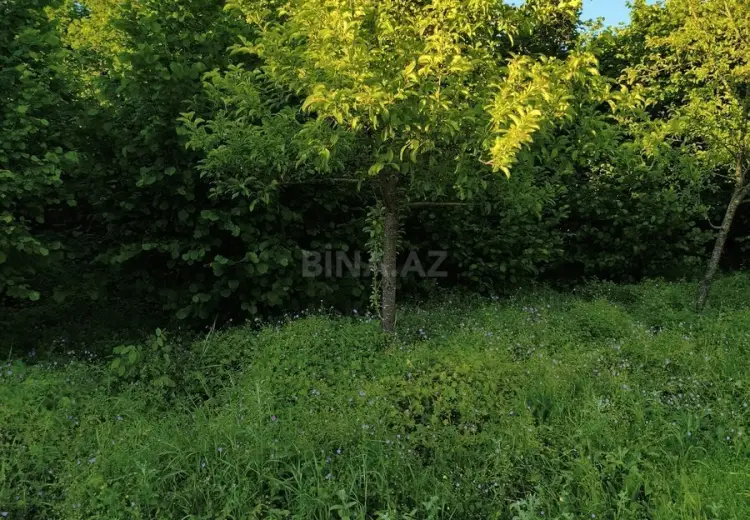 12 sot Torpaq Satılır, İsmayıllı