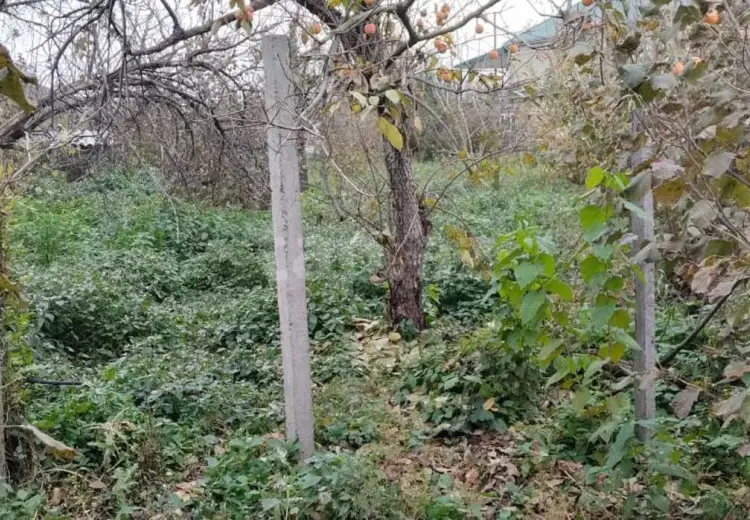 0 m² Obyekt / Ofis , Xaçmaz