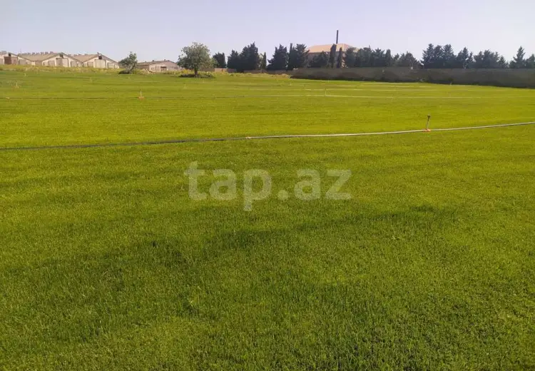 0 m² Obyekt / Ofis , Buzovna, Xəzər, Bakı