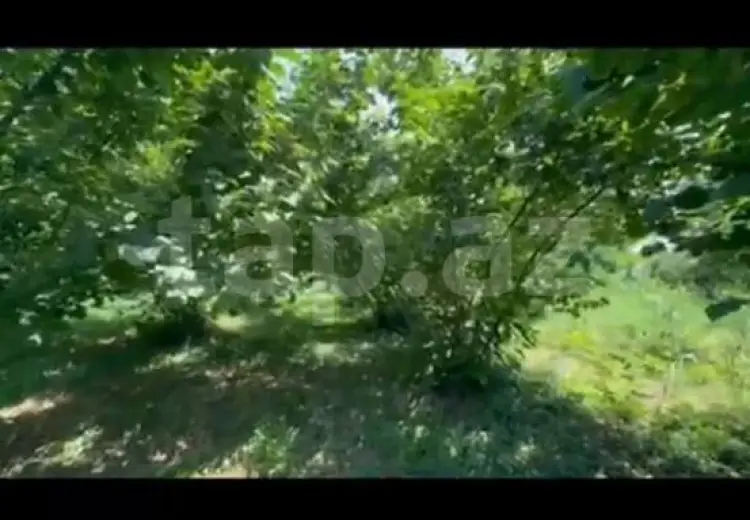 1 otaqlı mənzil , Bakı