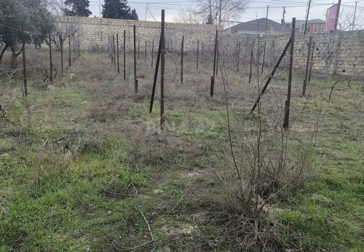 24 sot Torpaq Satılır, Novxanı, Abşeron