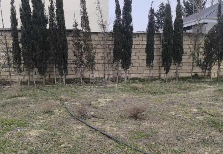 24 sot Torpaq Satılır, Novxanı, Abşeron