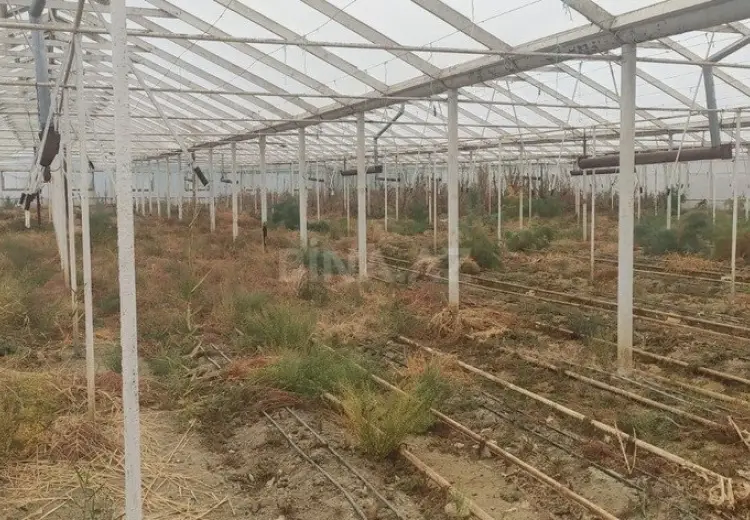 200 m² Obyekt / Ofis Satılır, Hacıqabul