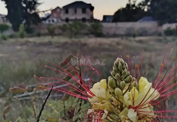 6.9 sot Torpaq Satılır, Goradil, Abşeron
