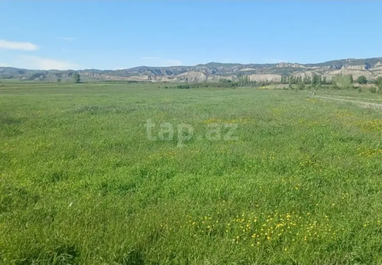 0 m² Obyekt / Ofis , Ağdaş