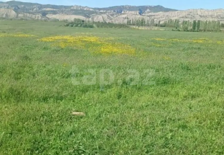 0 m² Obyekt / Ofis , Ağdaş