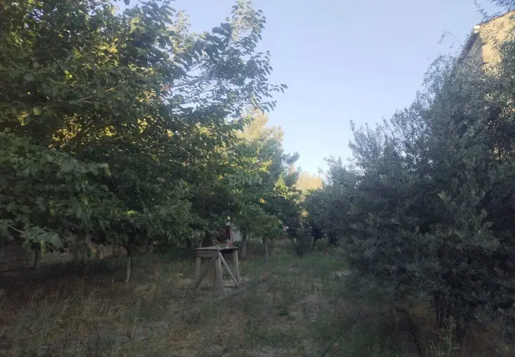 12 sot Torpaq Satılır, Pirşağı qəs., Sabunçu, Bakı