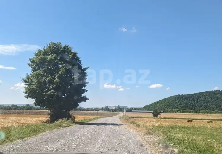 0 m² Obyekt / Ofis , Qəbələ