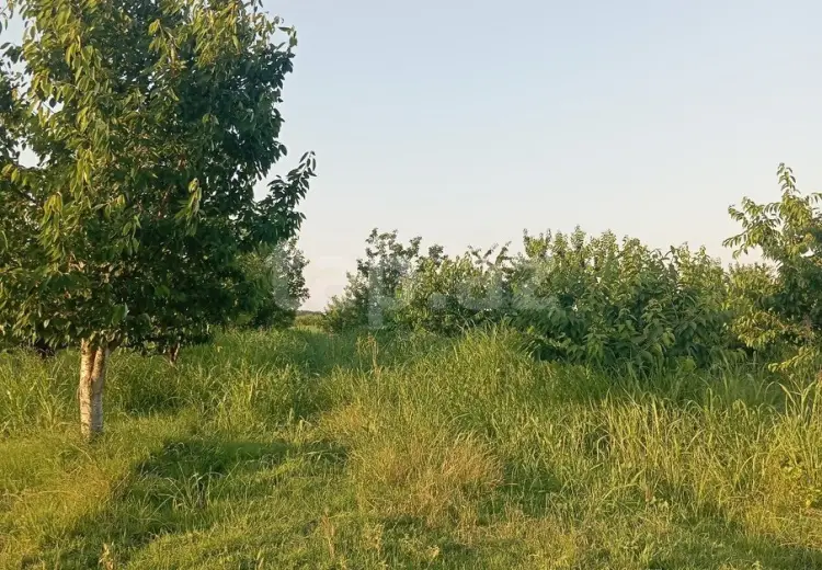 0 m² Obyekt / Ofis , Qusar