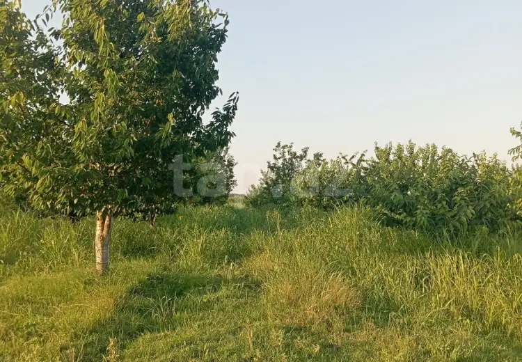 0 m² Obyekt / Ofis , Qusar