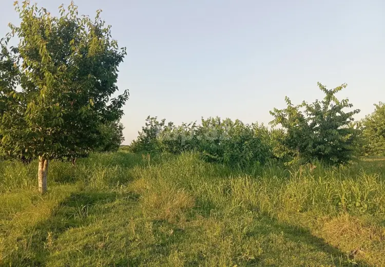 0 m² Obyekt / Ofis , Qusar