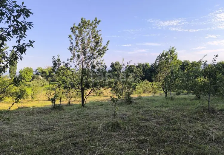 0 m² Obyekt / Ofis , Quba