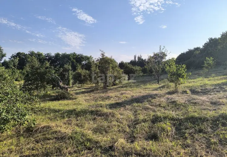 0 m² Obyekt / Ofis , Quba