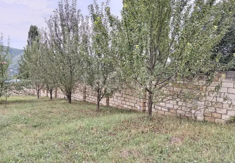 0 m² Obyekt / Ofis , Quba
